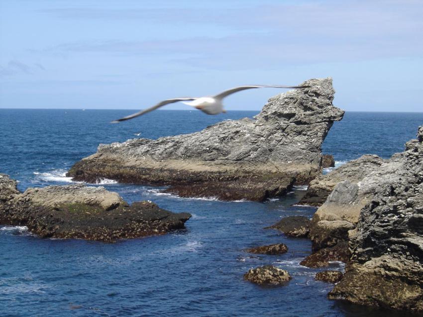Ty Dreux Entre Terre Et Mer Saint-Thégonnec Exterior foto